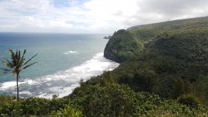 Pololu Valley