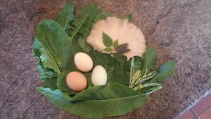 Oyster Mushrooms, Eggs, Sorrel, Sage, Dandelion, Plantain and Nettle