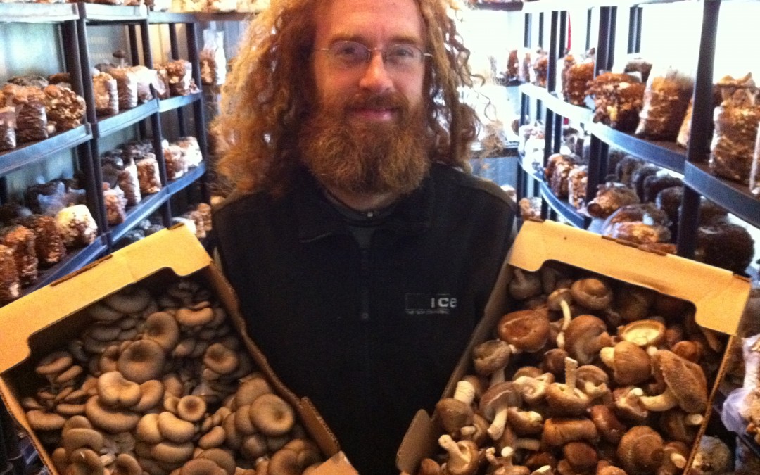 Nigel Kay Events Where to buy Mushroom Spawn on Salt Spring Island - We Help Grow Strong ...